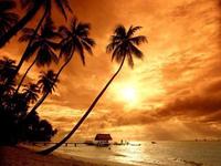YUzhnoe-Goa_medium4.jpg
