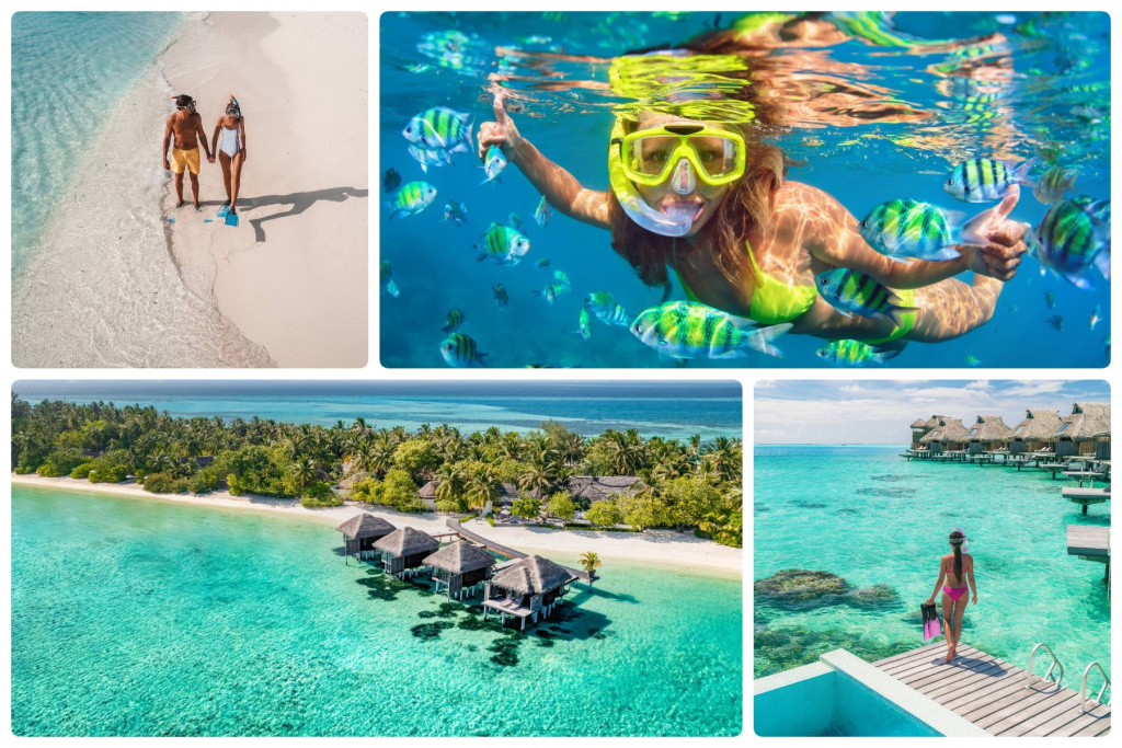 Мальдивы дайвинг.jpg